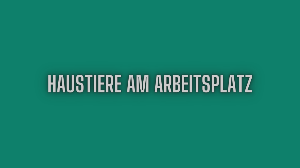 Haustiere am Arbeitsplatz